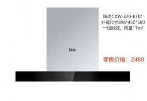 KT01 北京燃气峰尚CXW-220-KT01/KET02