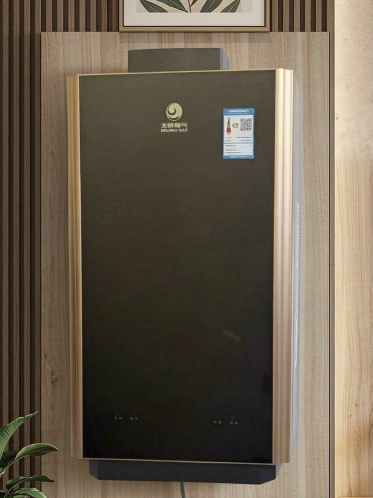 北京燃气JSQ30-16H906热水器